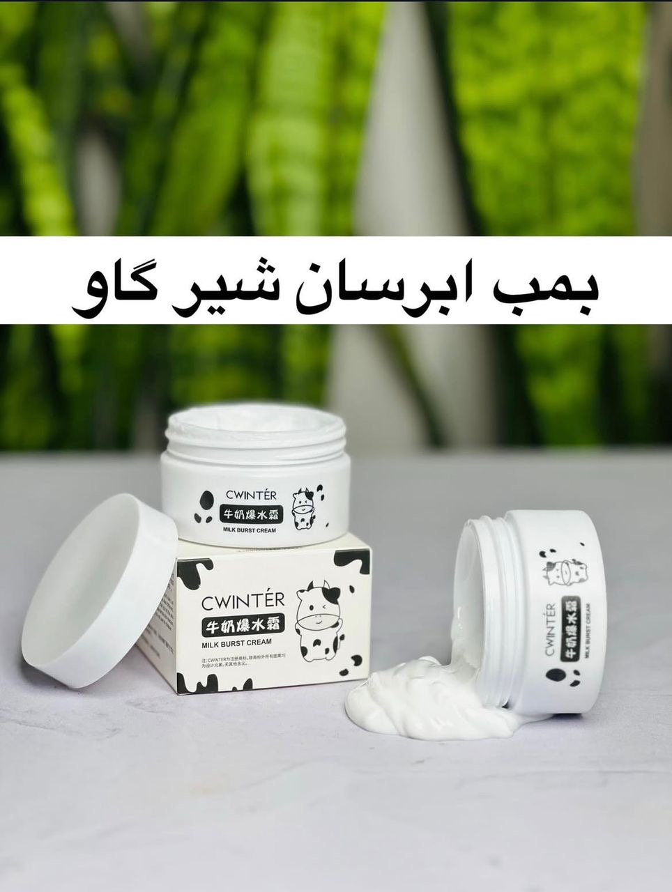 کرم شیر گاو